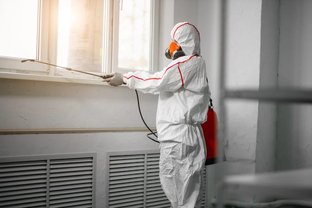 Professional mold remediation services in Kealia, HI
